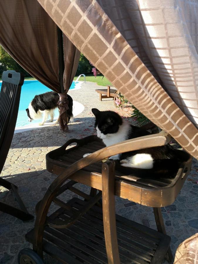 Bagnolo San Vito B&B Il Martin Pescatore מראה חיצוני תמונה